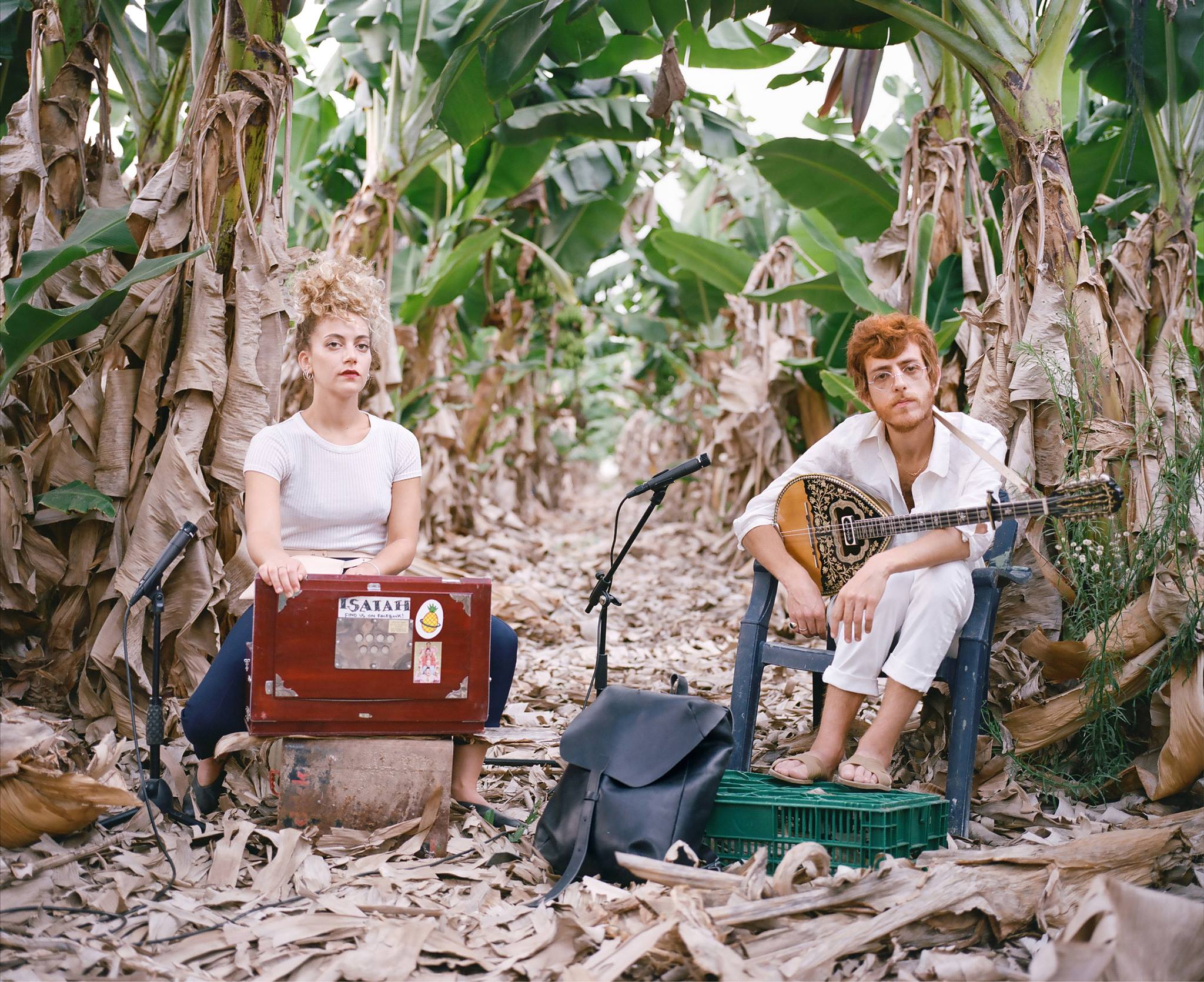 Banana forest